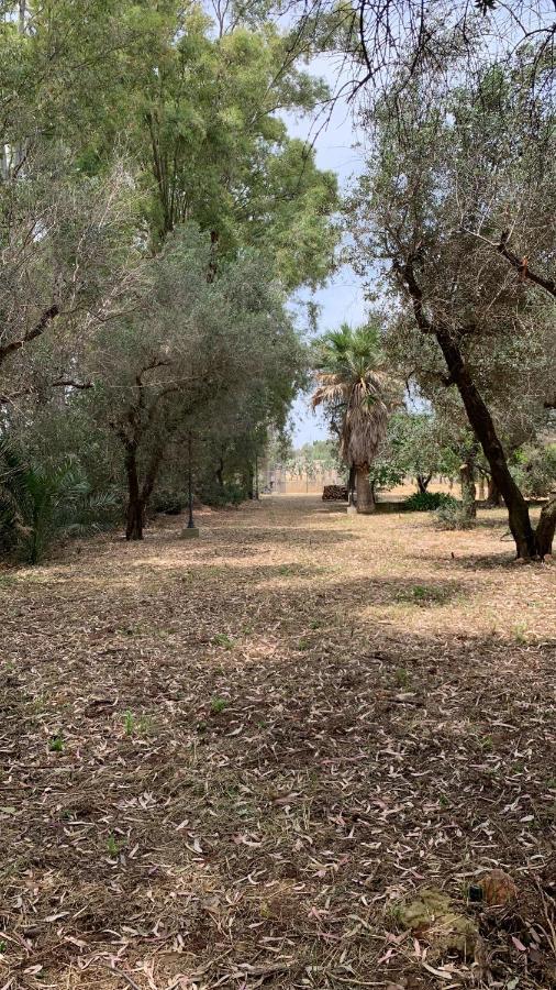 Tenuta Sidore Cursi Dış mekan fotoğraf